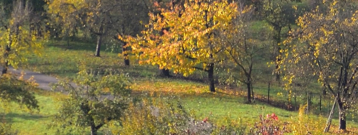 Morgenstimmung, Foto: M. Rösler